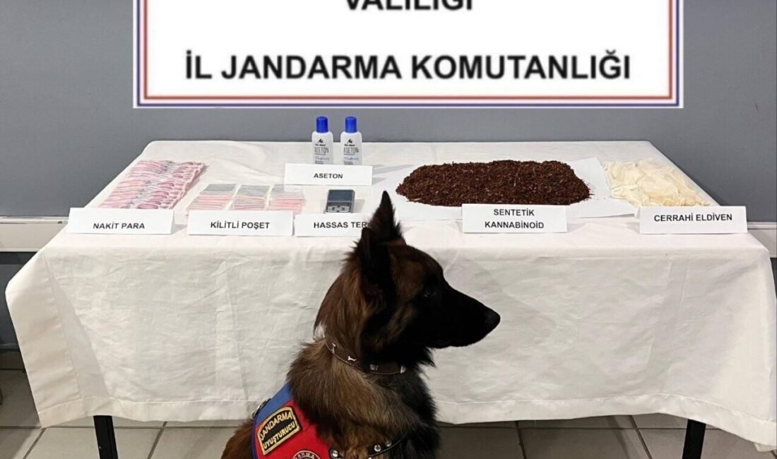 AFYONKARAHİSAR (AA) – Afyonkarahisar'ın Sinanpaşa ilçesinde düzenlenen uyuşturucu operasyonunda yakalanan