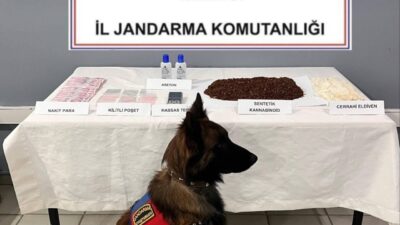 AFYONKARAHİSAR (AA) – Afyonkarahisar'ın Sinanpaşa ilçesinde düzenlenen uyuşturucu operasyonunda yakalanan