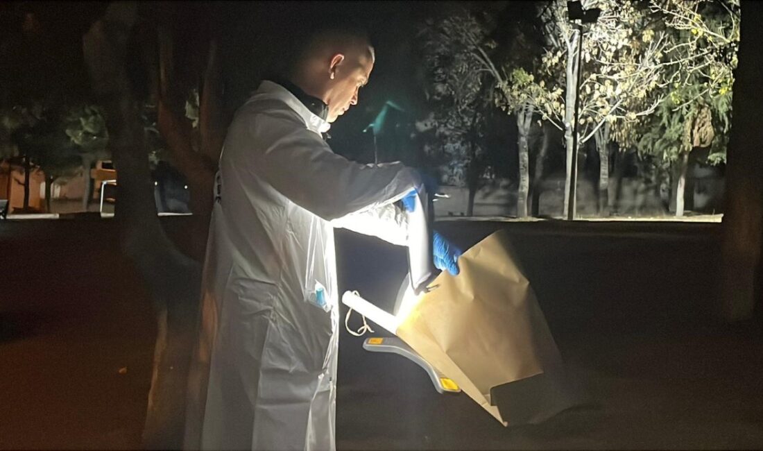 Karaman’ın Mehmet Akif Ersoy Mahallesi’nde bulunan bir parkta, 17 yaşındaki