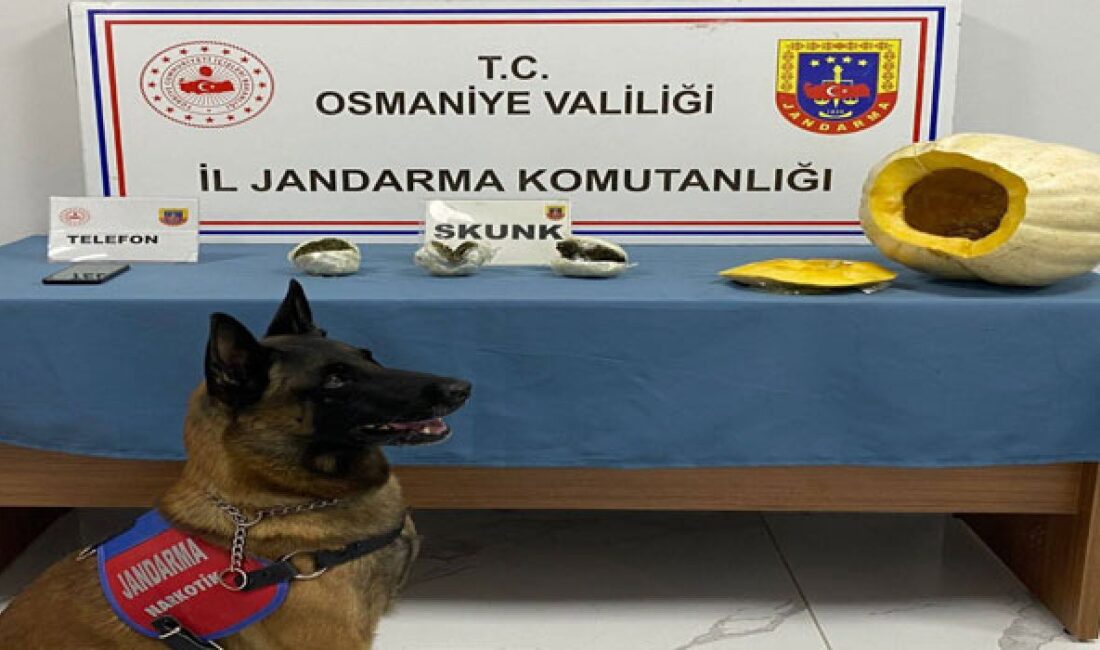 Osmaniye İl Jandarma Komutanlığı ekipleri, uyuşturucu ile mücadele kapsamında Bahçe
