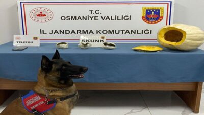 Osmaniye’de jandarma ekiplerinin yol kontrolü sırasında durdurduğu otobüsün bagajında, bal