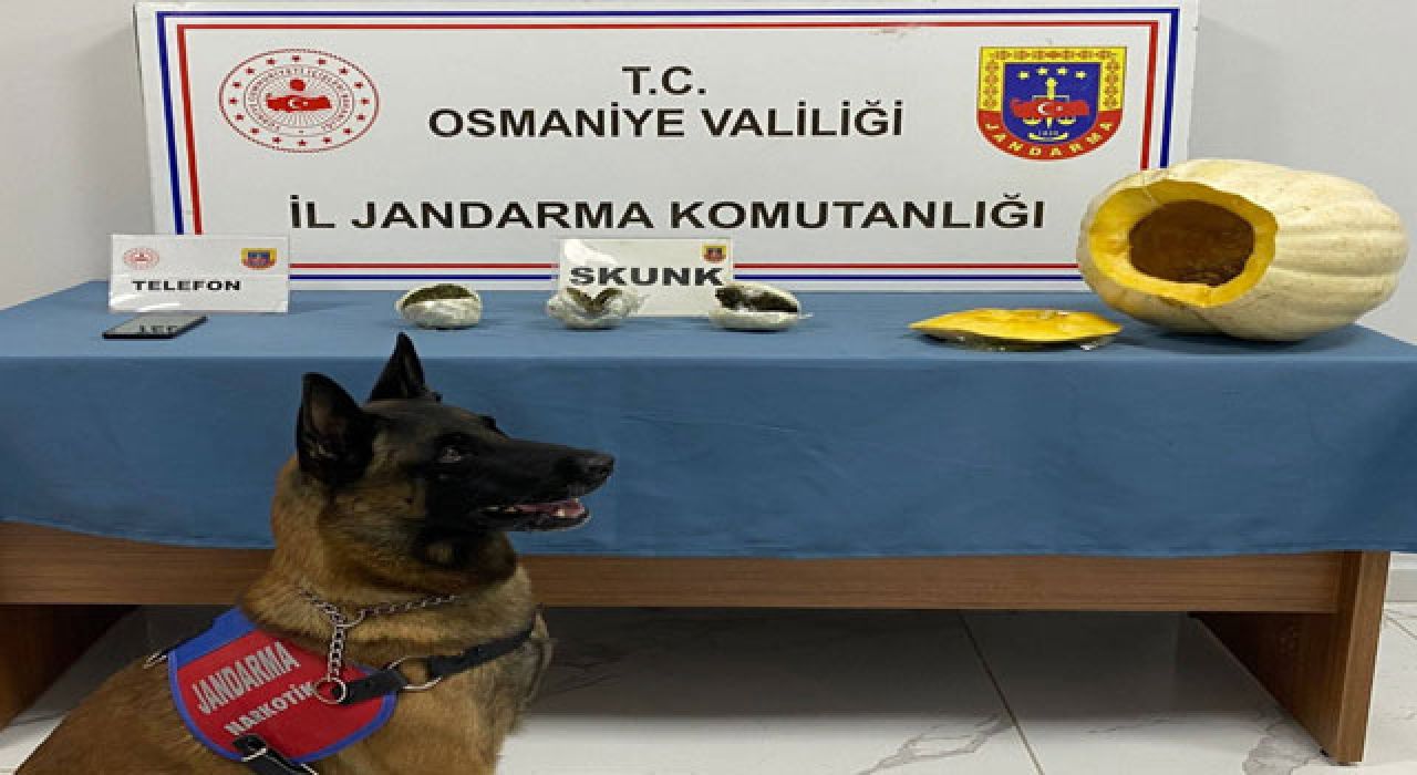 Osmaniye’de jandarma ekiplerinin yol kontrolü sırasında durdurduğu otobüsün bagajında, bal