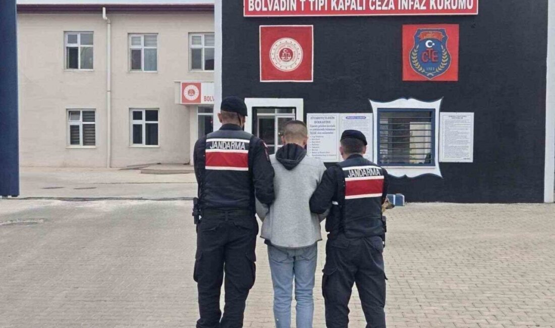 Afyonkarahisar’da jandarma tarafından son bir haftada gerçekleştirilen denetimlerde çeşitli suçlardan