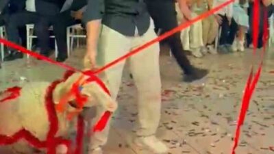 Afyonkarahisar’ın Şuhut ilçesinde yapılan bir düğünde, damada arkadaşları tarafından süslenmiş