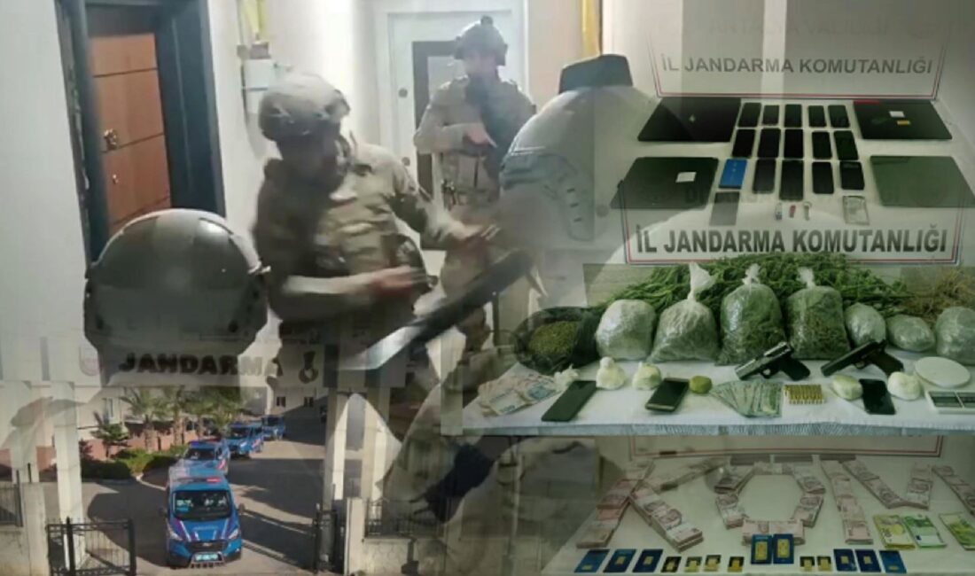 Jandarma ekiplerinin 9 ilde düzenlediği operasyonlarda 12 organize suç örgütüne
