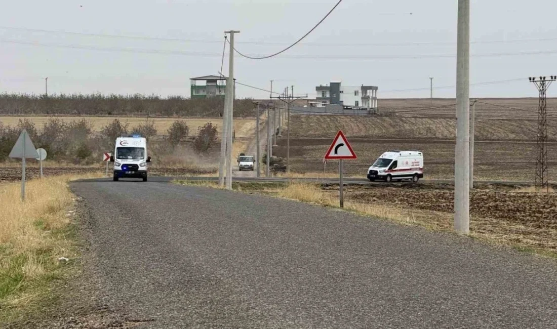 Diyarbakır’ın Sur ilçesinde akraba iki aile arasında çıkan kavga sonucunda