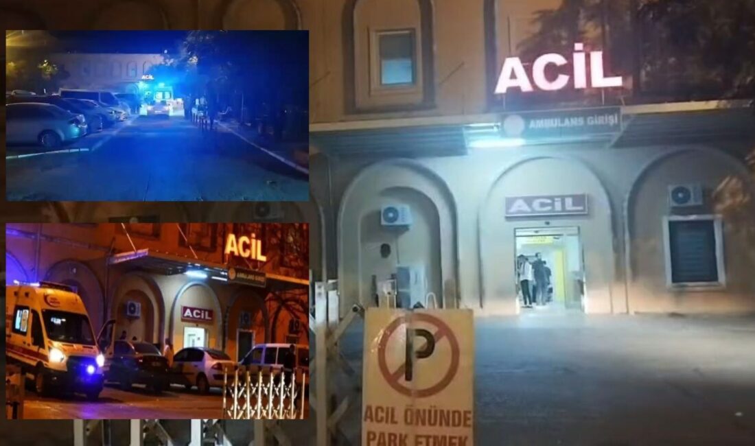 Mardin’in Kızıltepe ilçesinde bir aile, yaşadıkları dairede başlarından silahla vurulmuş