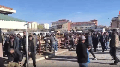 Afyonkarahisar’ın Şuhut ilçesinde küçükbaş hayvanlarda görülen hastalıklar nedeniyle kapatılan canlı