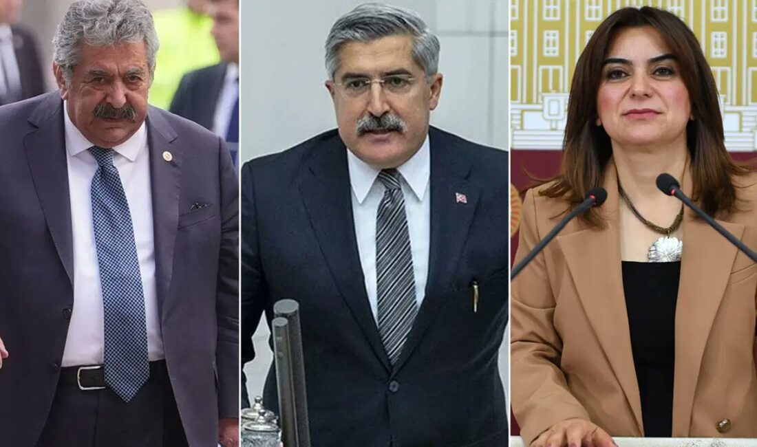 TBMM bünyesinde kurulan Milli Dayanışma, Kardeşlik ve Demokrasi Komisyonu'nun üç