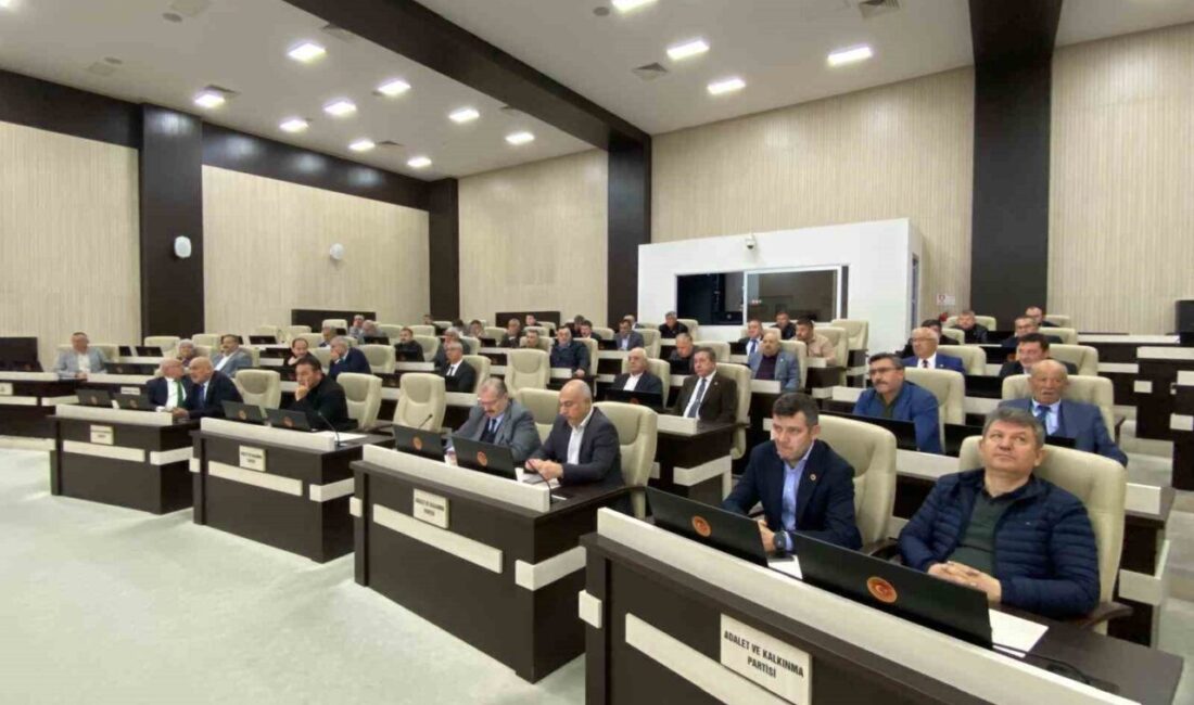 Afyonkarahisar İl Genel Meclisi (İGM) Sandıklı AK Parti Üyesi Ahmet