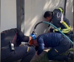 OSMANİYE’de, girdiği konteyner işyerinin altında sıkışan yavru kedi, itfaiye ekiplerince