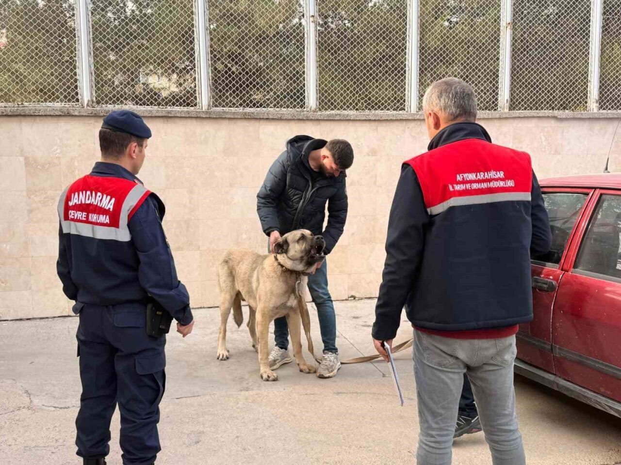 Çayırbağı beldesinde köpek dövüştüren şahıslar jandarma ekipleri tarafından dronla tespit