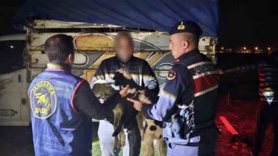 Afyonkarahisar’ın Sandıklı ilçesinde meydana gelen küçükbaş hayvan hırsızlığı, Jandarma Suç