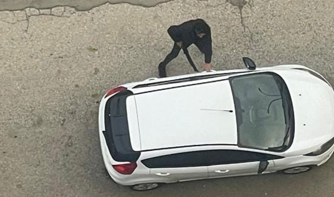 Muş’ta eski eşi tarafından pompalı tüfekle vurulan Yasemin D., ağır