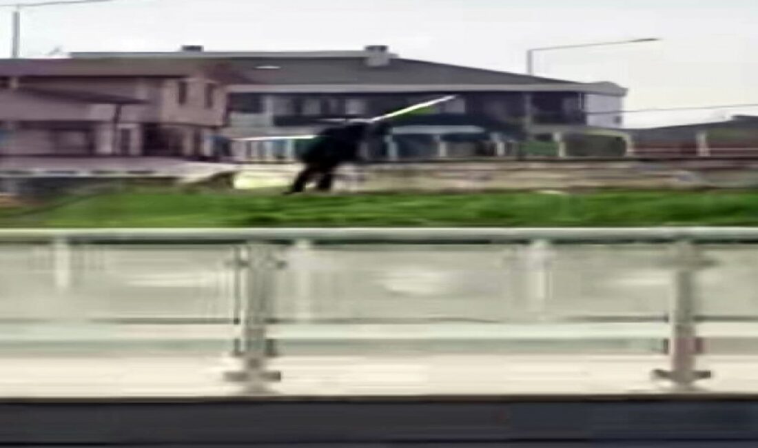 Sakarya'da Bir kişinin, parkta bulunan bir yapının demir korkuluklarını gündüz