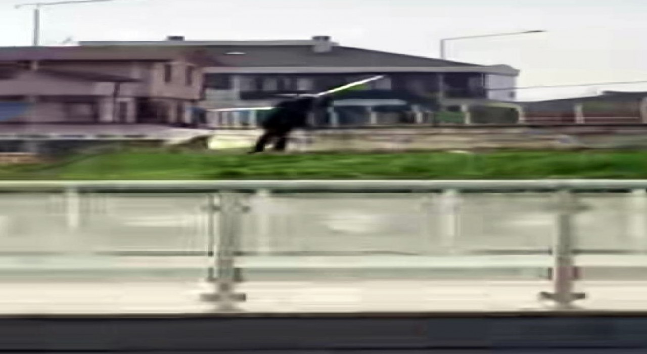 Sakarya'da Bir kişinin, parkta bulunan bir yapının demir korkuluklarını gündüz