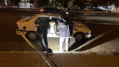 Samsun'da çöp kutusunda ölü bulunan 9 köpeğin tabanca ile vurularak