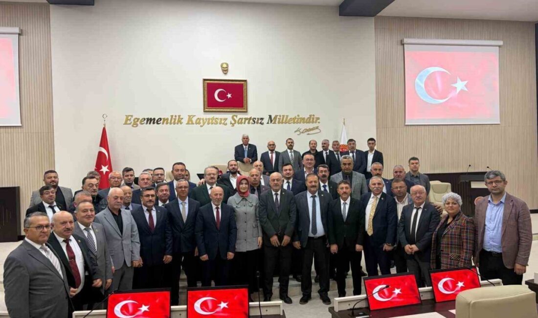 Afyonkarahisar İl Genel Meclisi (İGM) üyeleri Ali Diren, Mehmet Avcı