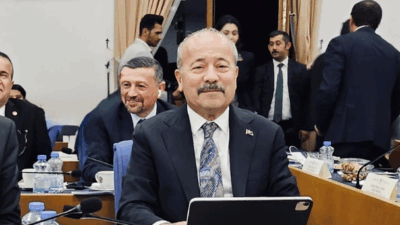 Milliyetçi Hareket Partisi Afyonkarahisar Milletvekili Mehmet Taytak, TBMM Plan ve