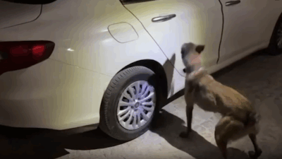 Aracında uyuşturucu ele geçirilince gözaltına alınan zanlı, tutuklandı.