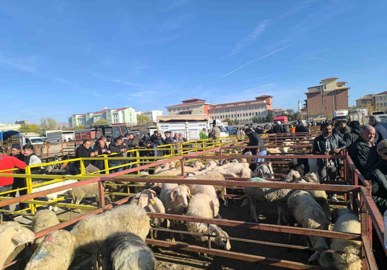 Afyonkarahisar’da komşu illerde görülen şap hastalığı vakaları nedeniyle önlemler üst