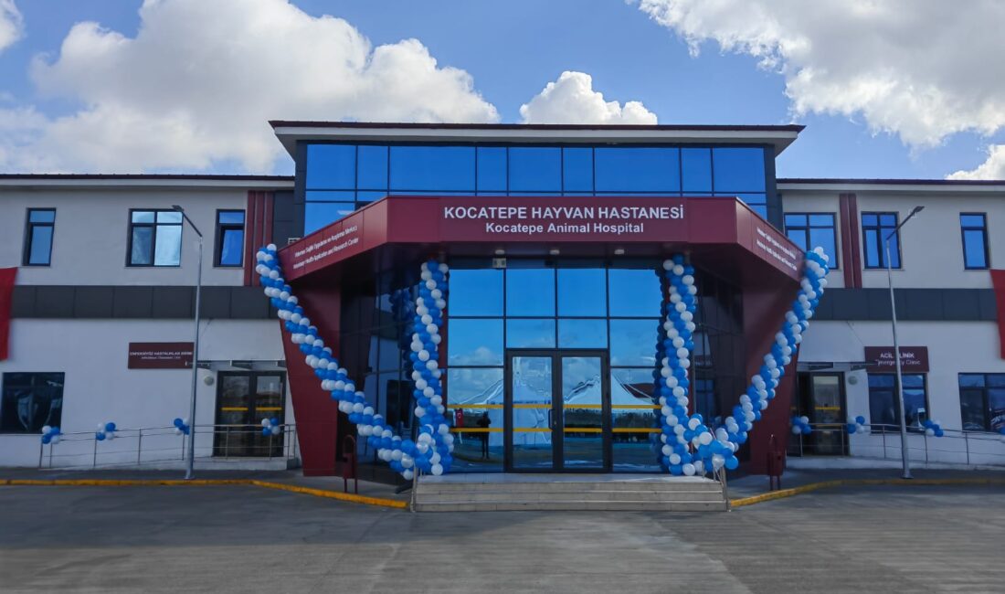 Afyon Kocatepe Üniversitesi Hayvan Hastanesi Başhekimi Prof. Dr. Musa Korkmaz,