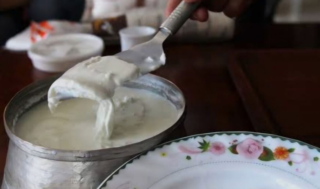 Afyonkarahisar Milletvekilleri İbrahim Yurdunuseven, Ali Özkaya, Hasan Arslan ve Hakan