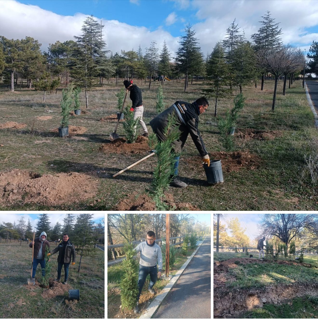 Horan Parkı’na 600, Asri Mezarlık’a 2 Bin Ağaç Dikildi