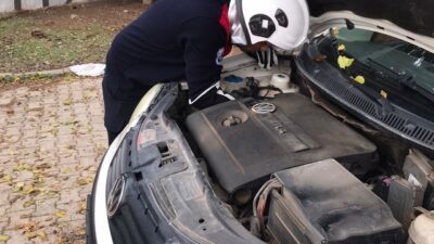 Hatay'ın Reyhanlı ilçesinde, soğuk havadan korunmak isteyen bir kedi, park