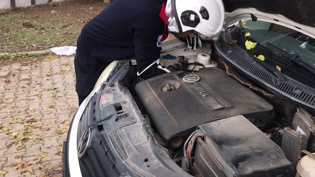 Hatay'ın Reyhanlı ilçesinde, soğuk havadan korunmak isteyen bir kedi, park