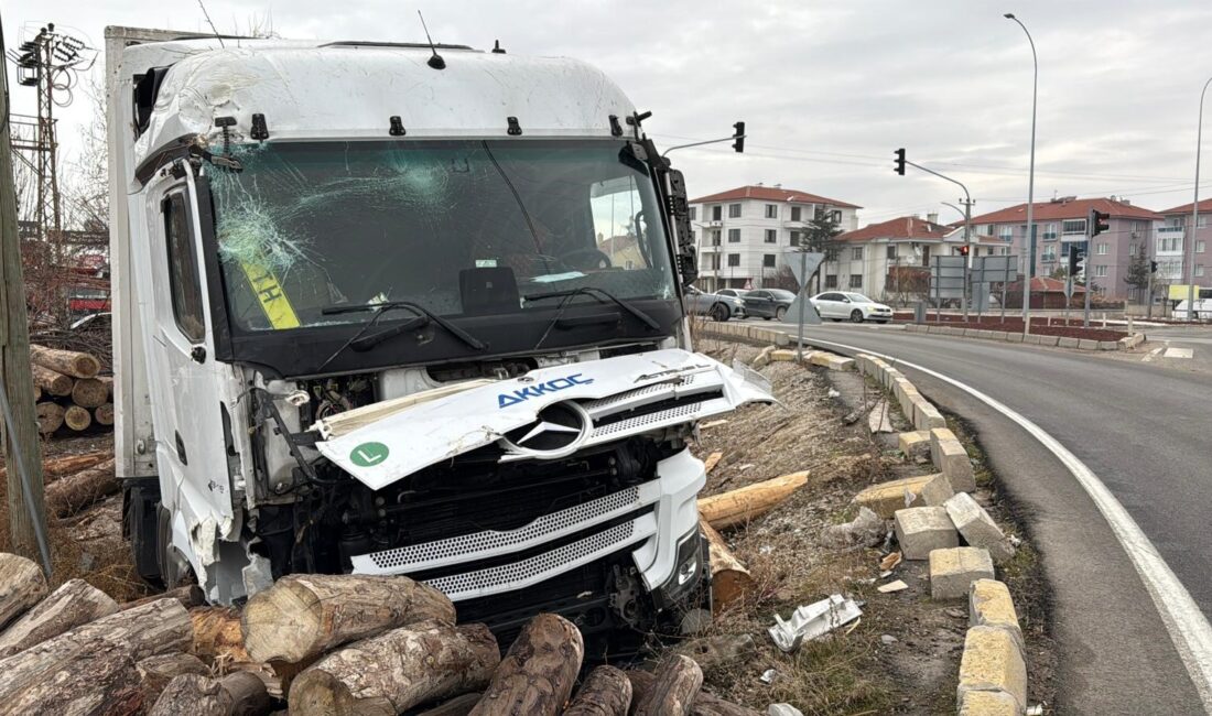 Afyonkarahisar’da bir tır kontrolden çıkarak yol kenarındaki kereste fabrikasının tomruk