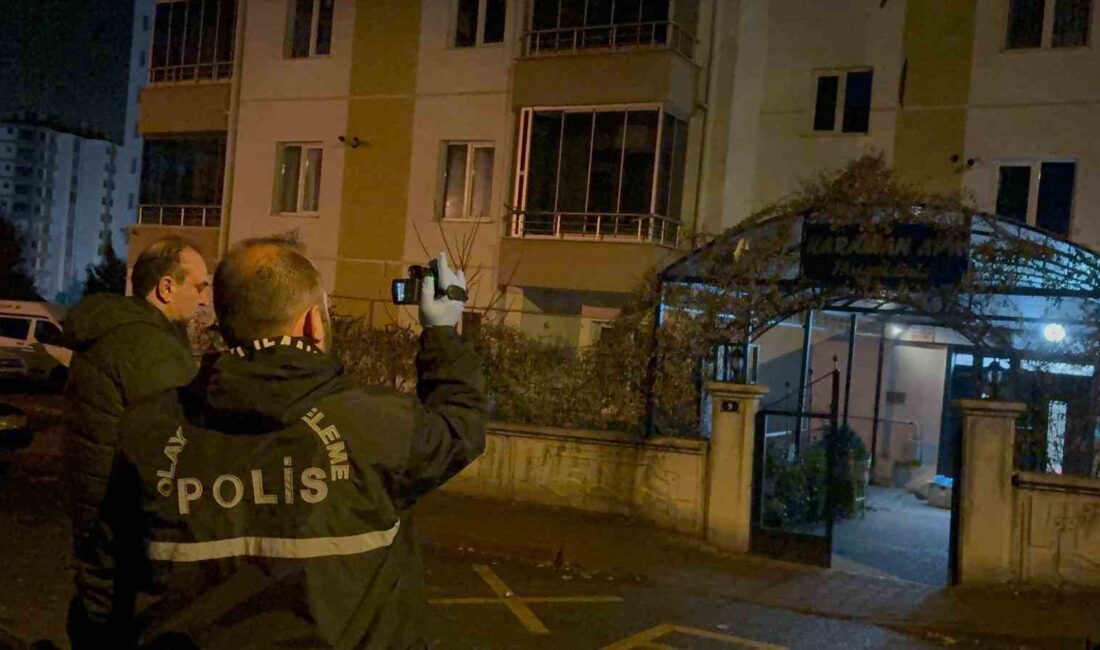 Bir evde çıkan tartışmanın büyümesi sonucu baba ve oğlu bıçakla