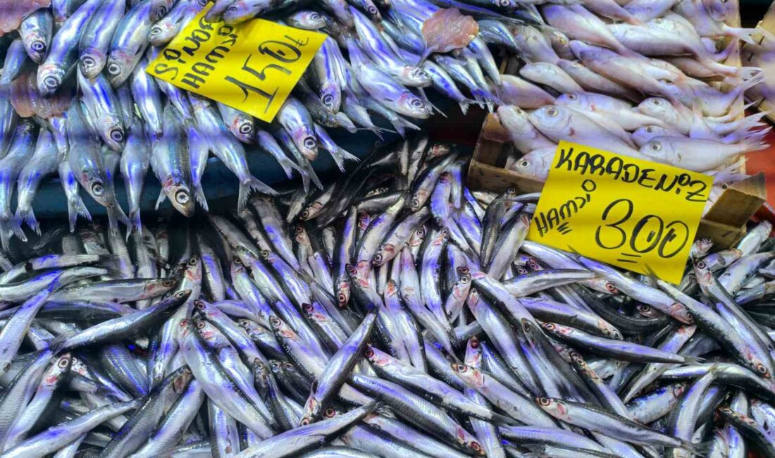 Yurt genelinde hava sıcaklıklarının düşmesiyle birlikte Afyonkarahisar'da da balık tezgahlarında