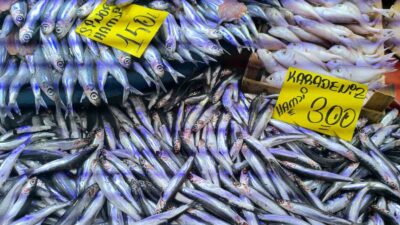 Yurt genelinde hava sıcaklıklarının düşmesiyle birlikte Afyonkarahisar'da da balık tezgahlarında