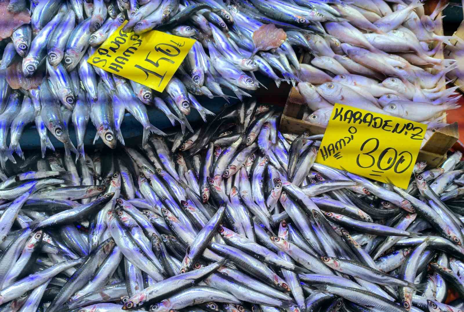 Yurt genelinde hava sıcaklıklarının düşmesiyle birlikte Afyonkarahisar'da da balık tezgahlarında