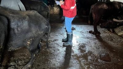 Afyonkarahisar Tarım ve Orman Müdürlüğü tarafından başlatılan 'Halk Elinde Anadolu