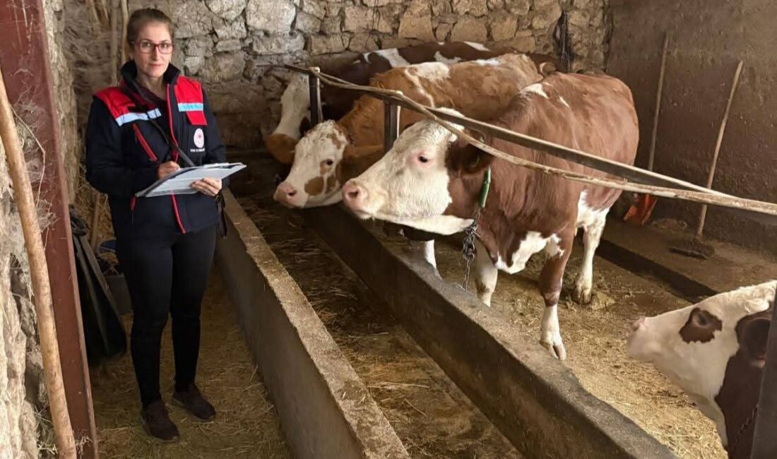 Afyonkarahisar'da Kırsal Kalkınmada Uzman Eller Projelerinin Desteklenmesi programı çerçevesinde hibe