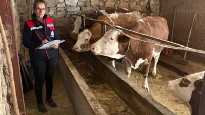 Afyonkarahisar'da Kırsal Kalkınmada Uzman Eller Projelerinin Desteklenmesi programı çerçevesinde hibe