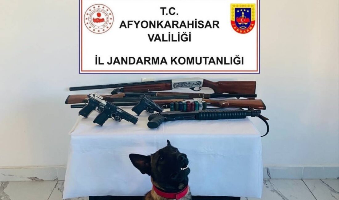
Afyonkarahisar İl Jandarma Komutanlığı ekipleri, Sinanpaşa ilçesinde yürüttükleri çalışmalar kapsamında