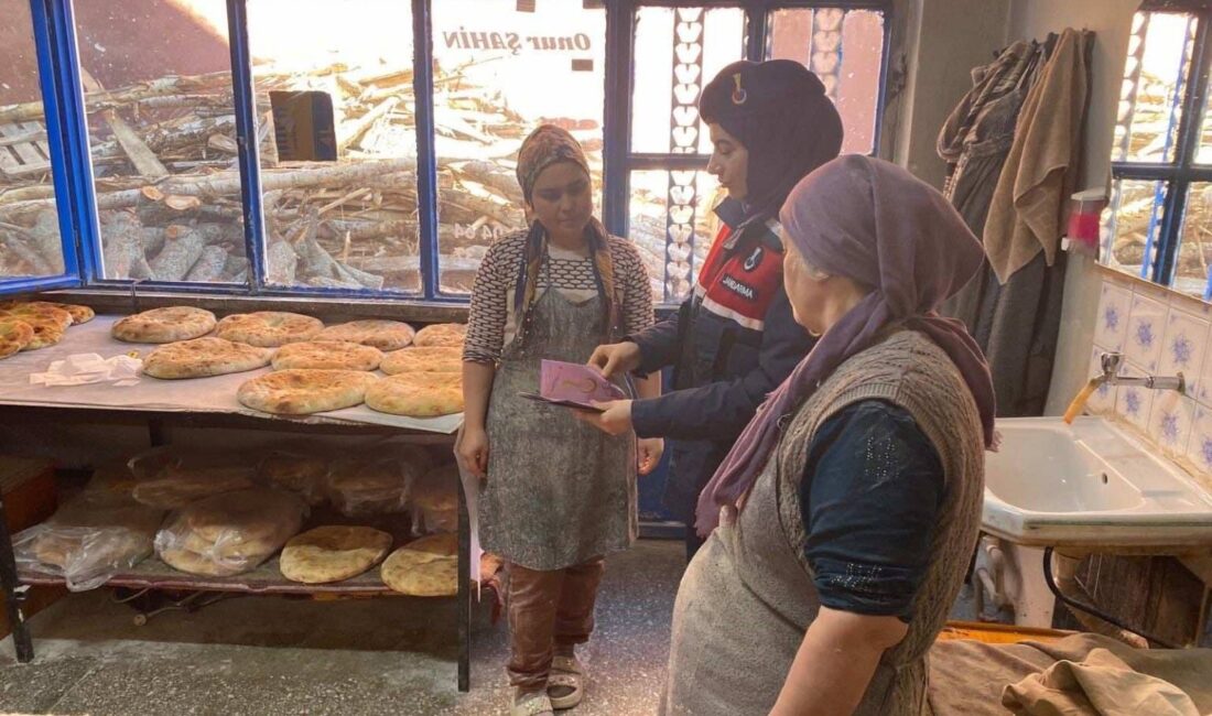 Afyonkarahisar İl Jandarma Komutanlığı, Hocalar ilçesinde hem toplumsal farkındalığı artırmaya