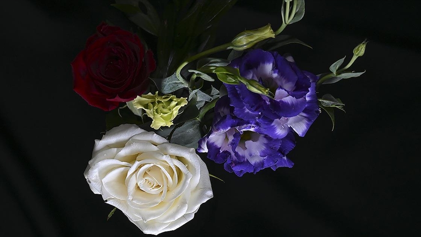 Türkiye'den yılbaşı için 35 ülkeye 12 milyon dolarlık kesme çiçek