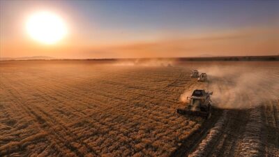 Tarım ve Orman Bakanı Yumaklı, kasım döneminde üreticilere toplam 376,8