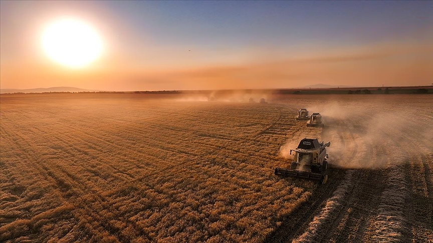 Tarım ve Orman Bakanı Yumaklı, kasım döneminde üreticilere toplam 376,8