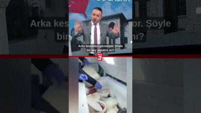 Kilis’te merdiven altı bir üretim yerinde farelerin bulunması, mide bulandıran