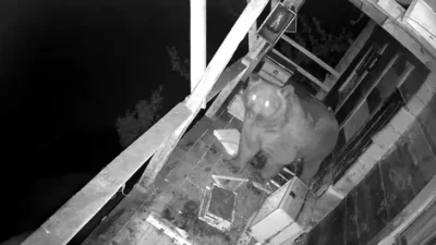 Trabzon'un Of ilçesinde, yamaç arazide bulunan bir eve ait ikinci