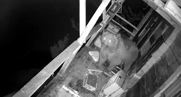 Trabzon'un Of ilçesinde, yamaç arazide bulunan bir eve ait ikinci