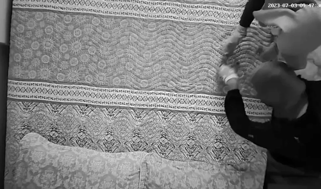 Osmaniye'nin Düziçi ilçesinde, Ali Demirel'e ait bir eve giren kimliği