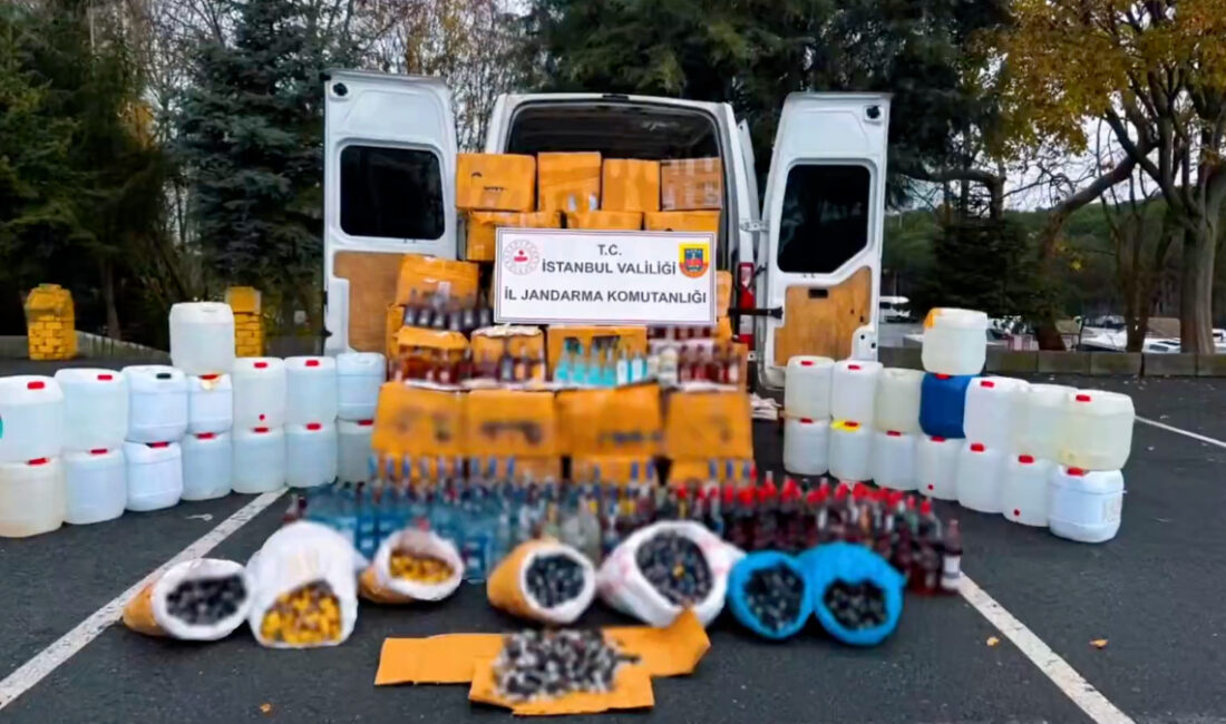 İçişleri Bakanı Ali Yerlikaya, son iki hafta içerisinde 17 ilde