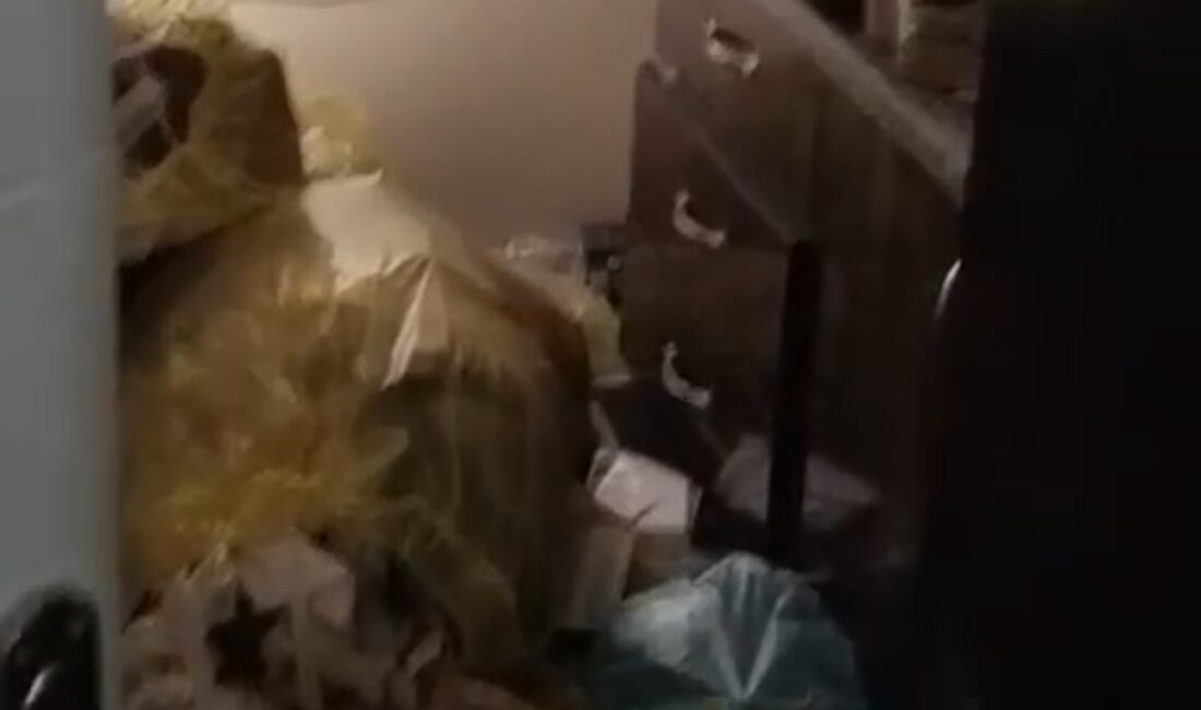 Uzun süredir ulaşamadığı kiracısının dairesine girdiğinde hayatının şokunu yaşadı. Salon,