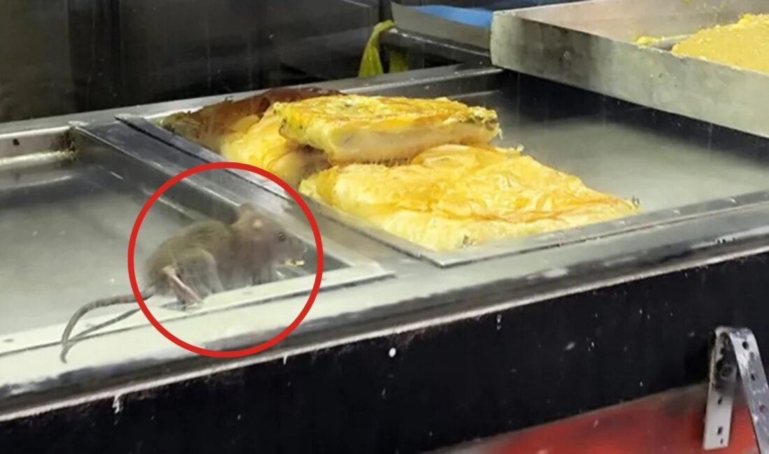 Bir börekçide kaydedilen görüntüler mideleri ağza getirdi. Tezgahta satılan böreklerin